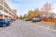 FREYJAPLANTSOEN 3-34.jpg